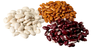 Beans | Natural Cancer Fighting Foods | Edison Institute of Nutrition