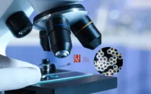 Live Cell Microscopy Training | Edison Insitute of Nutrition | Health House Practitioners