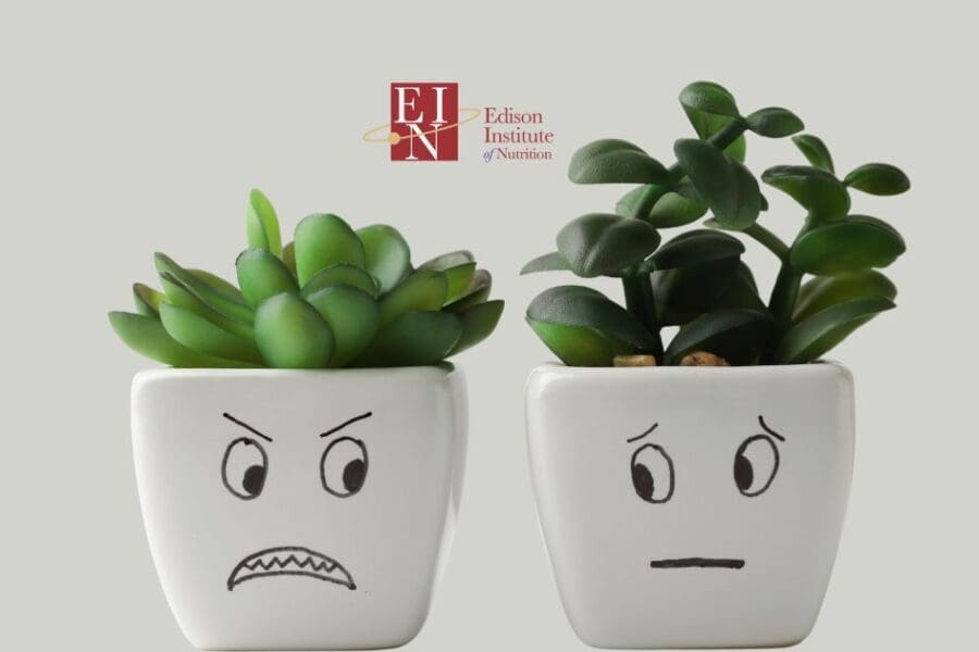 Emotions & Health - Are they related? | Online Nutrition Training Course & Diplomas | Edison Institute of Nutrition is a Nutrition School Training Nutrition Professionals Worldwide
