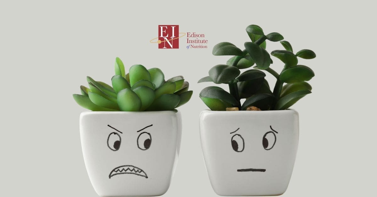 Emotions & Health - Are they related? | Online Nutrition Training Course & Diplomas | Edison Institute of Nutrition is a Nutrition School Training Nutrition Professionals Worldwide