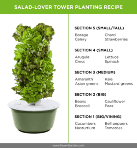 Tower Garden | Learn to be a holistic Nutrition Expert and grow your own food too