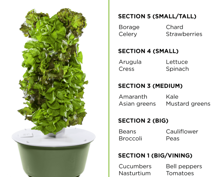 Tower Garden | Learn to be a holistic Nutrition Expert and grow your own food too