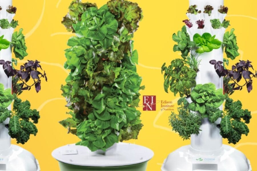 Grow your own, the future of farming | Edison Institute of Nutrition | Nutrition School