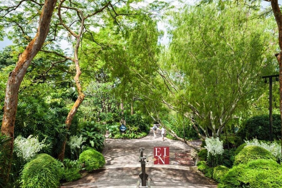 Look where Edison graduate Liza Rowan is taking her business and nutrition knowledge!! | Online Nutrition Training Course & Diplomas | Edison Institute of Nutrition is a Nutrition School Training Nutrition Professionals Worldwide