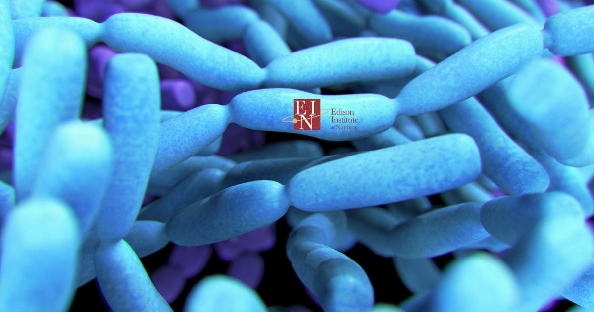 The Benefits of Supporting with Probiotics | Online Nutrition Training Course & Diplomas | Edison Institute of Nutrition is a Nutrition School Training Nutrition Professionals Worldwide