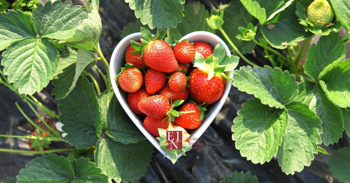 How loving yourself can improve your diet | Online Nutrition Training Course & Diplomas | Edison Institute of Nutrition is a Nutrition School Training Nutrition Professionals Worldwide