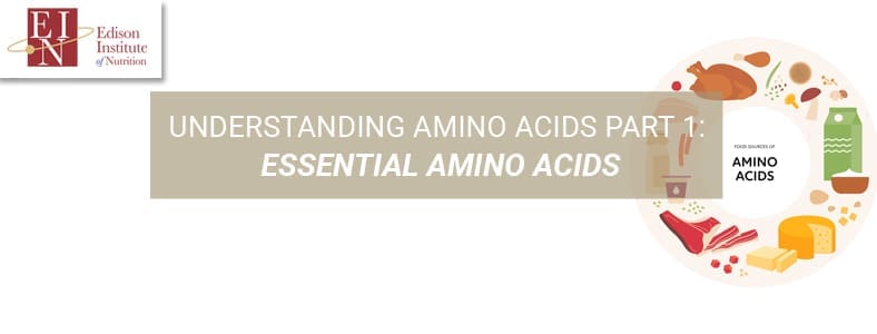 Understanding Amino Acids Part 1: Essential Amino Acids | Edison ...