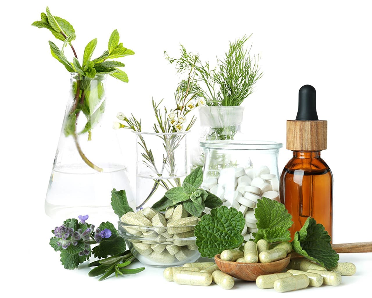 In-Depth Curriculum | Edison Institute of Nutrition | School For Holistic Nutrition