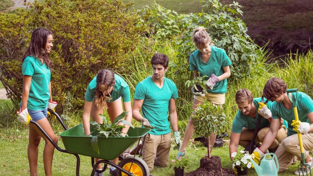 Community Career Opportunities | Edison Institute of Nutrition | School For Holistic Nutrition