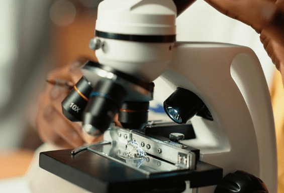 Live Cell Microscopy training