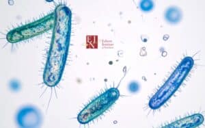 Antibiotics Can Save Your Life, but What are the Aftereffects?
