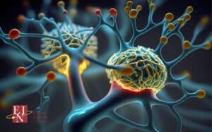 Neuroplasticity | Rewiring Your Brain